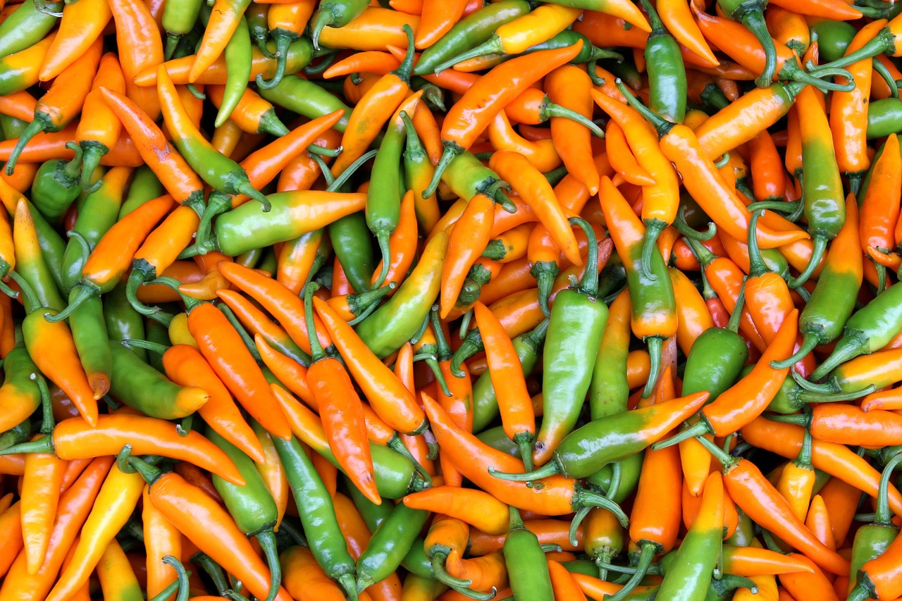 Spice It Up: A Beginner’s Guide to Spicy Thai Food